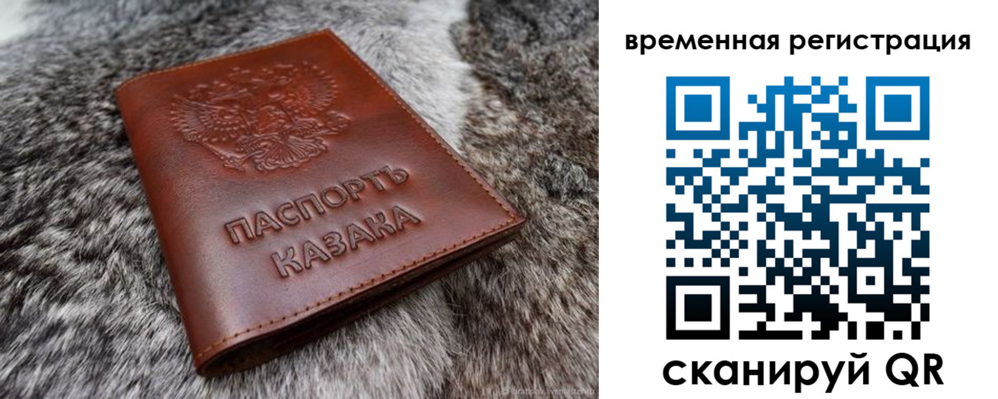 прописка 2025 в Щиграх